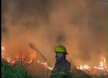 Incêndio atinge área da Costanera de Puerto Iguazú e mobiliza bombeiros