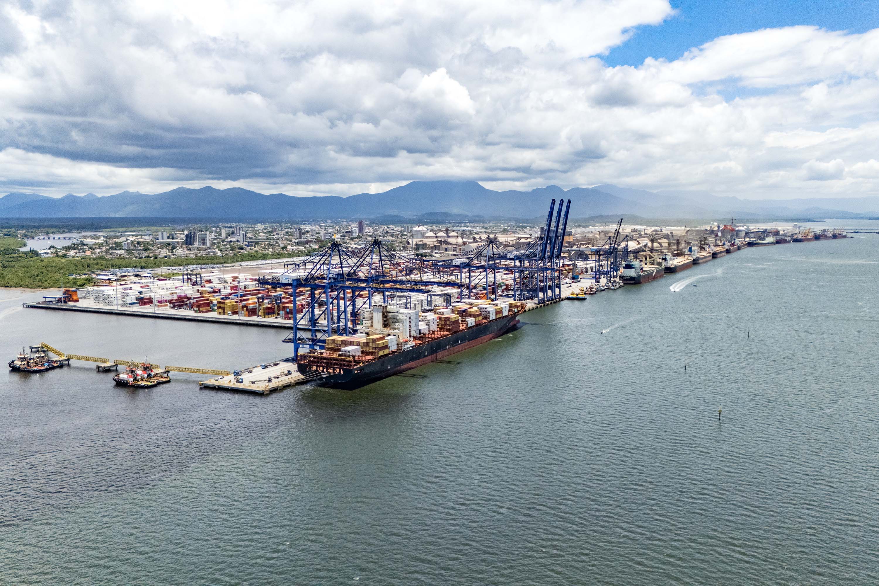 819 mil toneladas: exportação de frango pelo Porto de Paranaguá cresce 15% no 1º trimestre