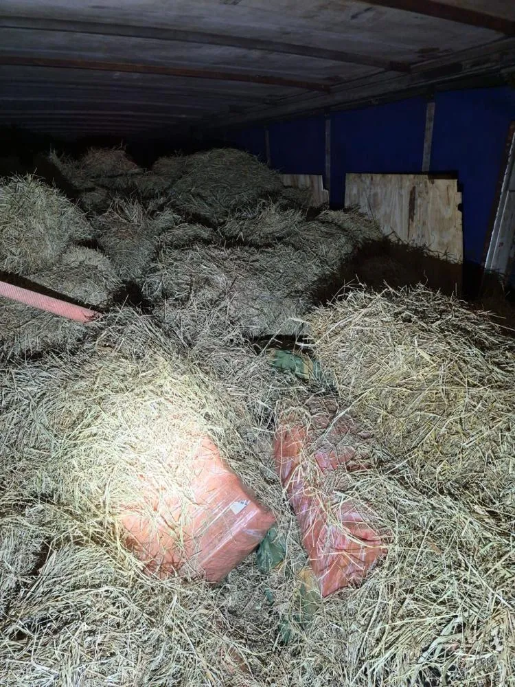 Mais de 4,5 toneladas de maconha carregadas em Foz são apreendidas na BR-277
