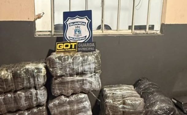 Operação na Monsenhor Guilherme localiza quase meia tonelada de maconha em barraco