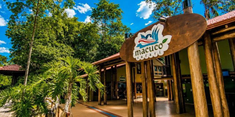 Polícia reúne depoimentos e documentos para esclarecer acidente no Macuco Safari