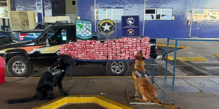 Caminhonete é interceptada com quase 200 quilos de drogas em Foz do Iguaçu