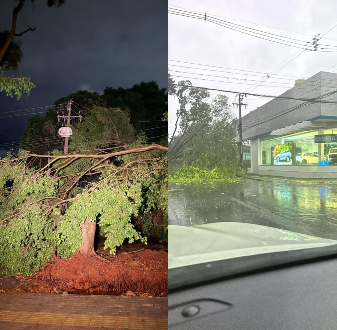 Vendaval derruba árvores, danifica imóveis e provoca transtornos em Foz do Iguaçu