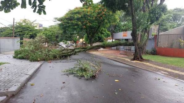 Rajadas de vento se aproximam dos 70 km/h em Foz do Iguaçu e colocam Oeste do Paraná em alerta