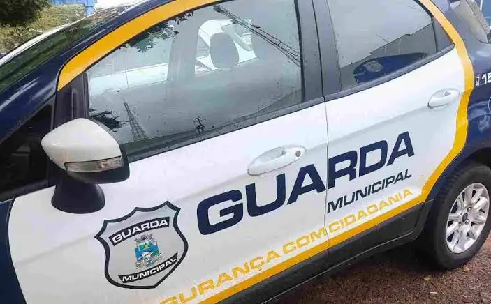 Adolescente de 17 anos é apreendido após agredir a avó de 74 anos em Foz do Iguaçu