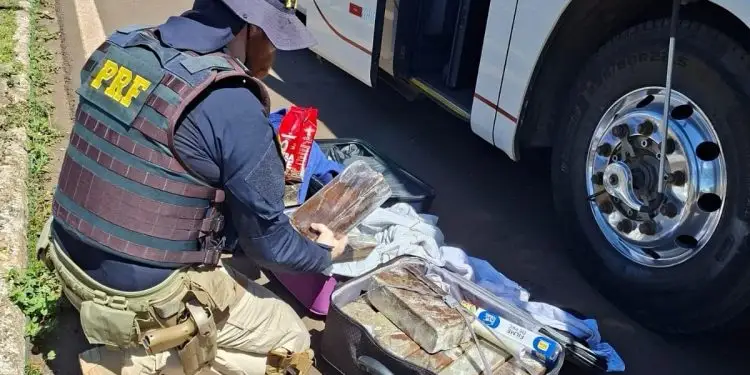 PRF apreende 40 quilos de maconha, celulares e medicamentos em ônibus na BR-277