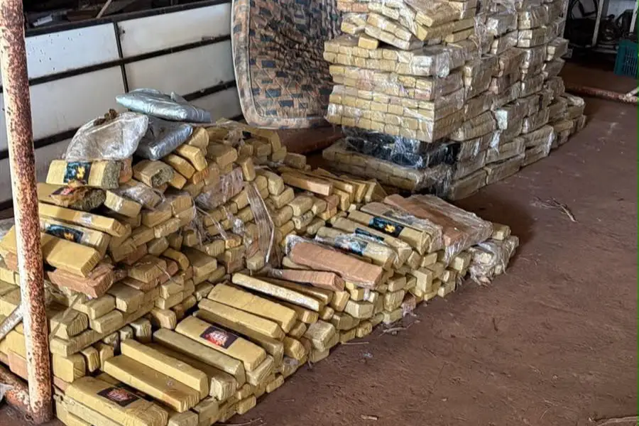 Apreensões de maconha aumentam 228% em dez anos na região de fronteira do Paraná