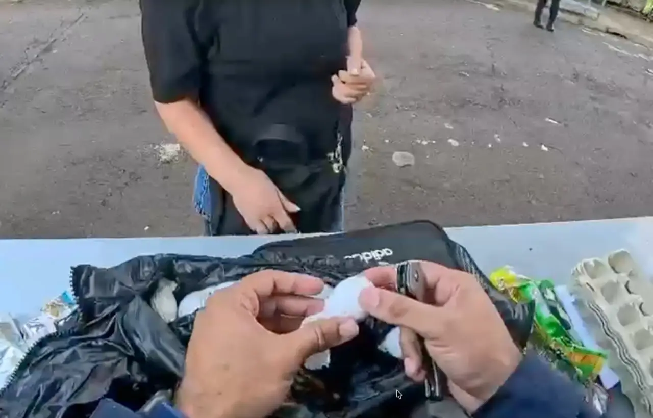 Casal é flagrado em Foz com 32 ovos de aves nativas que podem valer R$ 10 milhões no mercado ilegal