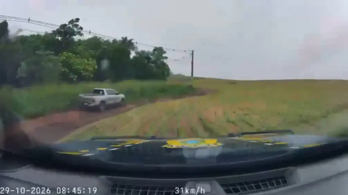 Motorista abandona caminhonete com 1,3 tonelada de maconha e foge para mata no Paraná