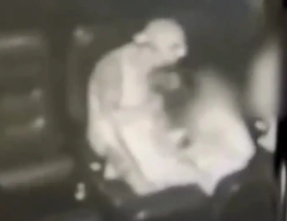 Homem que agrediu companheira grávida em cinema é preso após publicar ofensas em redes sociais