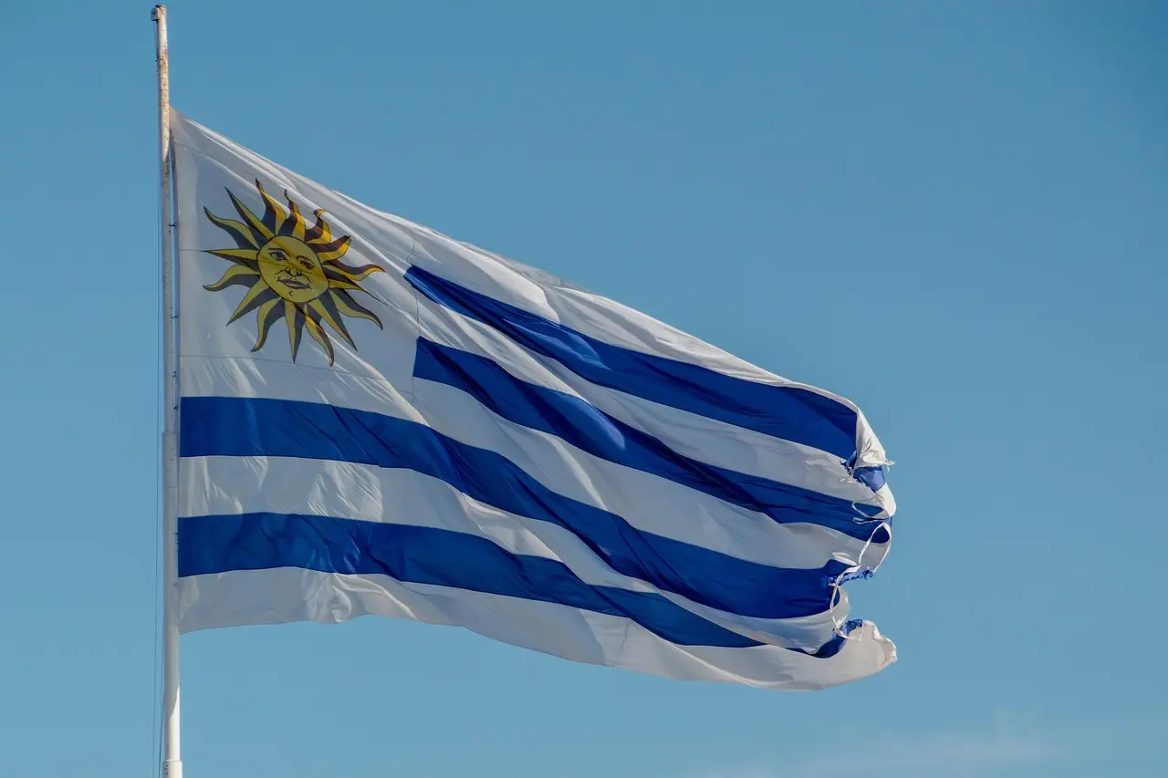 Uruguai aprova lei de eutanásia por ampla maioria no Senado