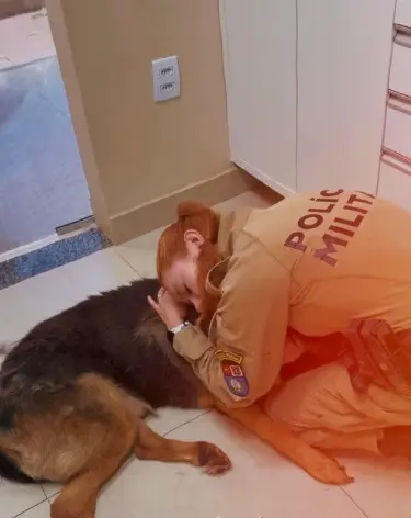 Eutanásia: Vídeo mostra despedida de soldado a cão que trabalhou por 10 anos da PM