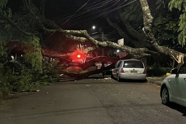 Ventos acima da média atingem Foz do Iguaçu e causam danos na área urbana